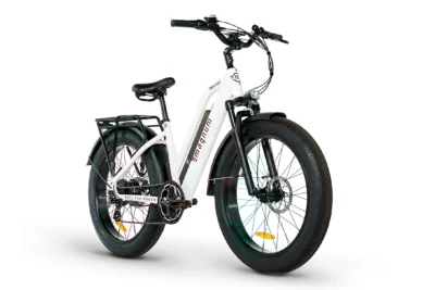 Magnum Nomad Fat Tire